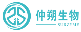 site logo