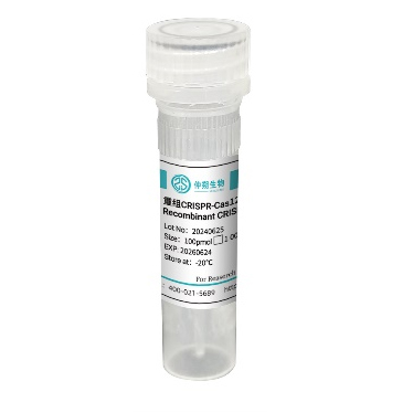 重组CRISPR-Cas12a蛋白