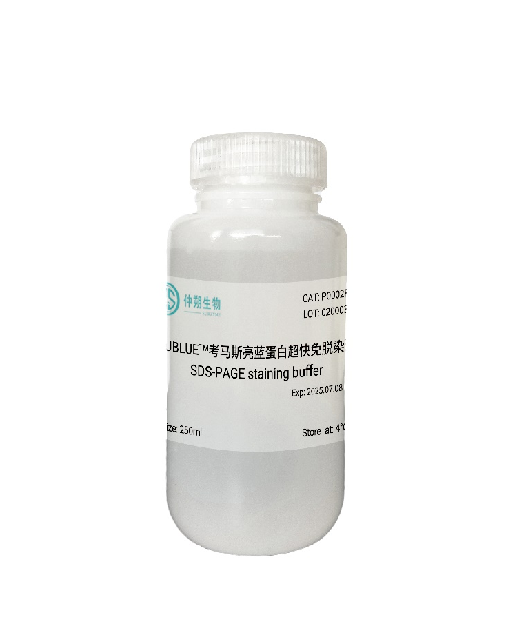 免脱色考马斯亮蓝极速染色液