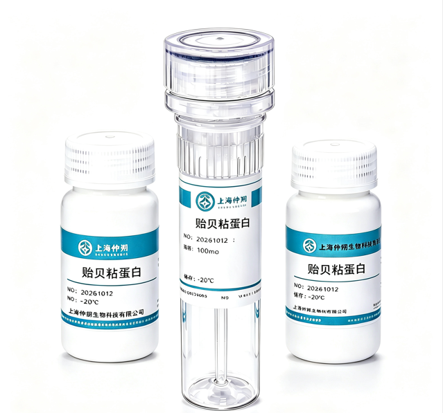 贻贝粘蛋白（Mussel Adhesive Proteins）