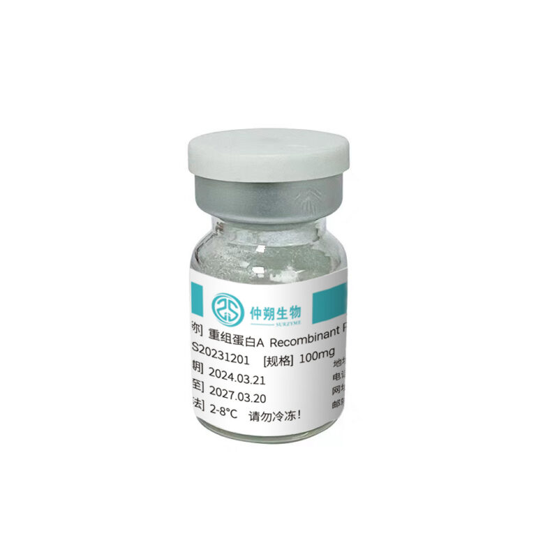 重组蛋白A